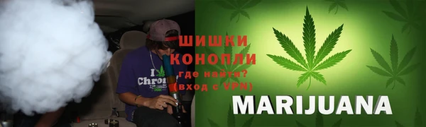 ПСИЛОЦИБИНОВЫЕ ГРИБЫ Волосово