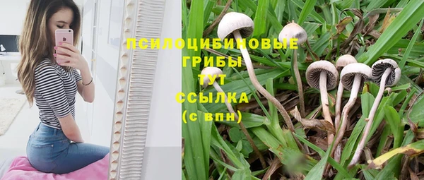 ПСИЛОЦИБИНОВЫЕ ГРИБЫ Волосово