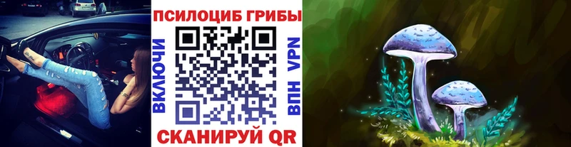 Купить где  Сафоново  Галлюциногенные грибы Magic Shrooms 